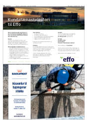 Síða 12