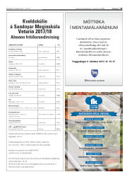 Síða 19