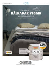 Síða 31