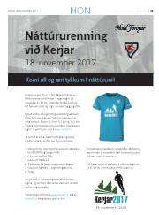 Síða 43