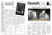 Síða 11