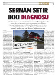 Síða 17
