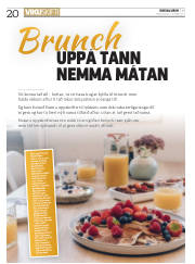 Síða 20