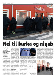 Síða 3