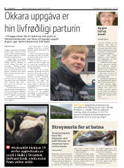 Síða 6