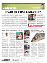 Síða 2