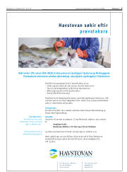 Síða 5