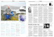 Síða 17