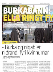 Síða 12