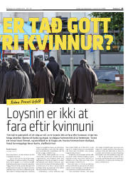 Síða 13