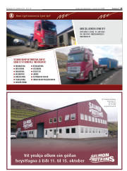Síða 19