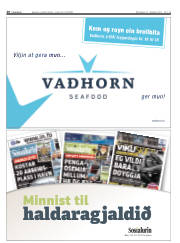 Síða 20