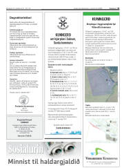 Síða 31
