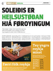 Síða 6