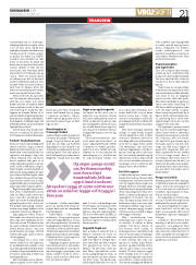 Síða 21