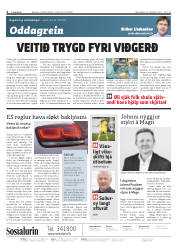 Síða 2