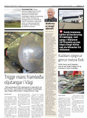 Síða 7