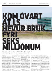 Síða 8