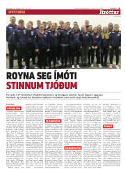 Síða 13