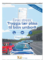 Síða 5