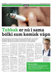 Síða 8