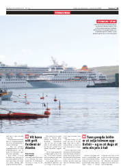 Síða 11