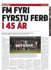 Síða 14