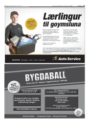 Síða 19