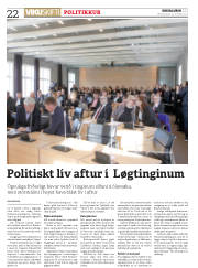 Síða 22