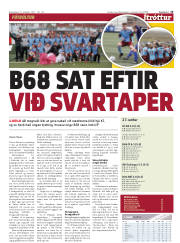 Síða 15