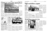 Síða 4