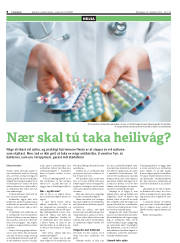 Síða 8