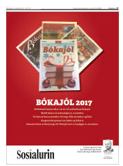 Síða 27