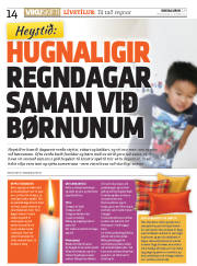 Síða 14