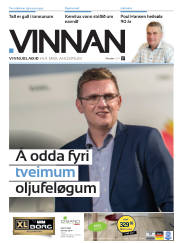Síða 25