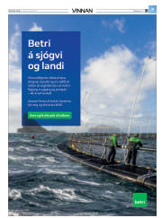 Síða 33