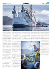 Síða 39