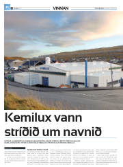Síða 46