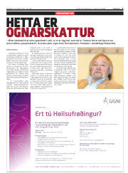 Síða 3