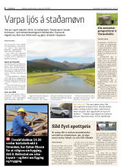 Síða 8