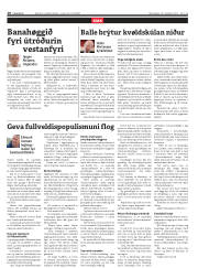 Síða 10
