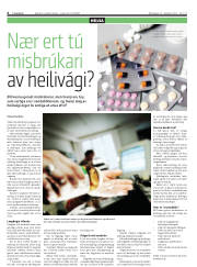 Síða 6