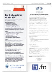 Síða 17