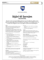 Síða 3