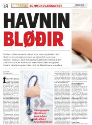 Síða 18