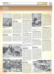 Síða 25