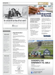 Síða 31
