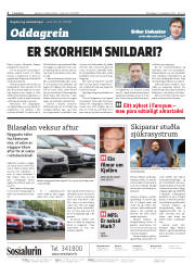 Síða 2