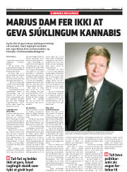 Síða 3