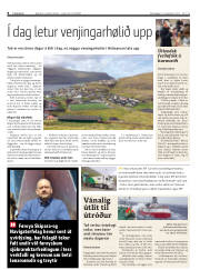Síða 8